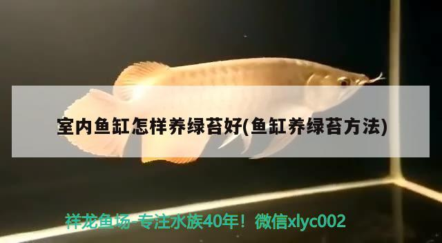 章丘市蘇創水族館(章丘市蘇創水族館電話) 全國水族館企業名錄 第4張 章丘市蘇創水族館(章丘市蘇創水族館電話) 章丘市蘇創水族館(章丘市蘇創水族館電話) 全國水族館企業名錄 第4張