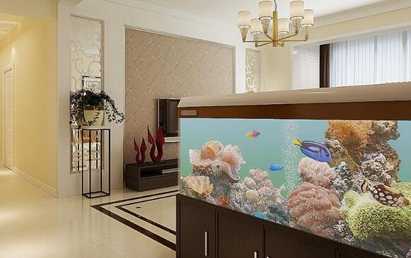 大型海水魚缸裝修效果圖：大型海水魚缸裝修效果圖大型海水魚缸在裝修中需要注意哪些方面？