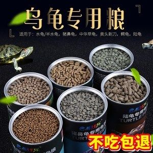 豬鼻龜2020年價格:豬鼻龜價格大概是多少 豬鼻龜百科 第3張 豬鼻龜2020年價格:豬鼻龜價格大概是多少 豬鼻龜2020年價格:豬鼻龜價格大概是多少 豬鼻龜百科 第3張