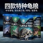 豬鼻龜2020年價格:豬鼻龜價格大概是多少 豬鼻龜百科 第6張 豬鼻龜2020年價格:豬鼻龜價格大概是多少 豬鼻龜2020年價格:豬鼻龜價格大概是多少 豬鼻龜百科 第6張