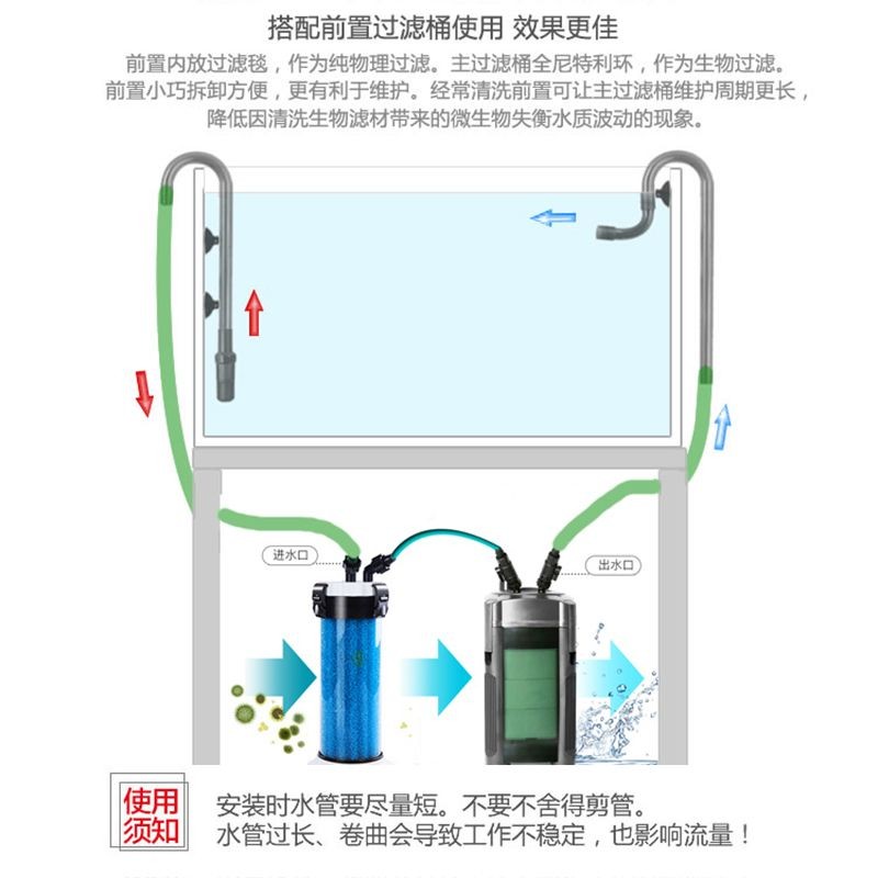 2020觀賞魚行情：2020年觀賞魚市場前景如何？
