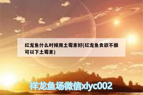 紅龍魚肛門突出紅腫怎么治療：紅龍魚肛門突出紅腫可能是由多種原因引起的
