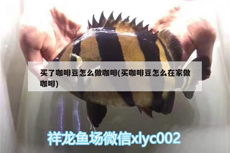 買了咖啡豆怎么做咖啡(買咖啡豆怎么在家做咖啡) 買了咖啡豆怎么做咖啡(買咖啡豆怎么在家做咖啡) 馬來西亞咖啡