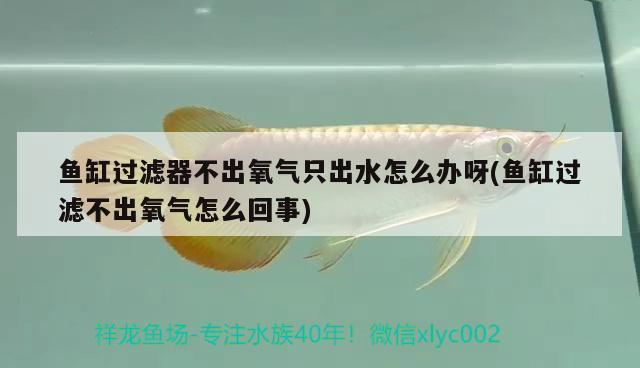 博特水泵質量可以嗎（博特水泵質量咋樣）
