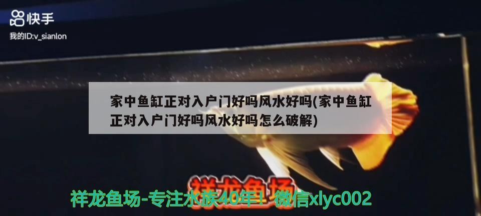 佳木斯水族批發(fā)市場在哪兒啊最近(佳木斯水族批發(fā)市場在哪兒啊最近的地方)