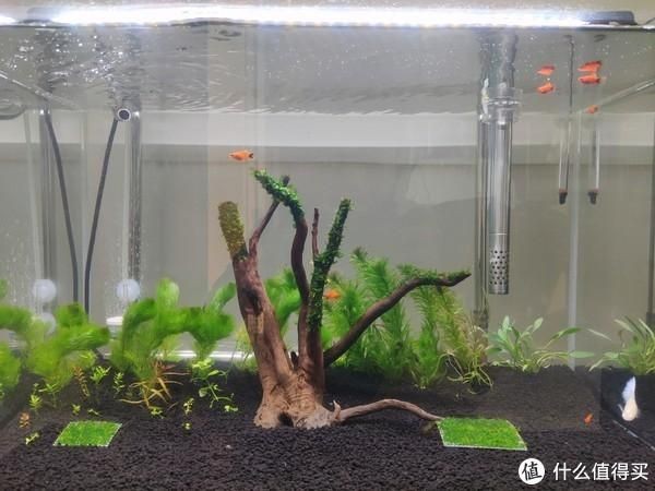 1米1.2個厚的魚缸一般有多重：一個1米1.2個厚的魚缸一般有多重