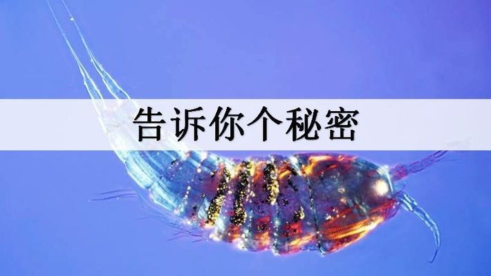 創寧水泵官方網站電話(創寧水泵質量怎么樣)