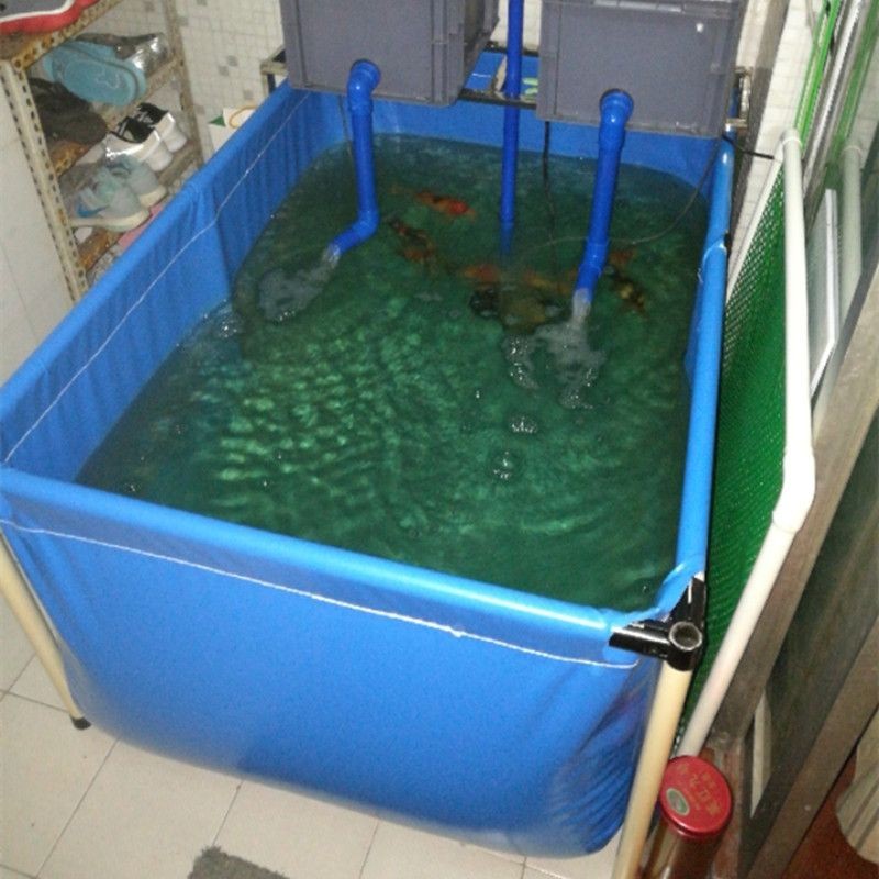 大型魚塘過濾系統（大型魚塘過濾系統價格是多少）