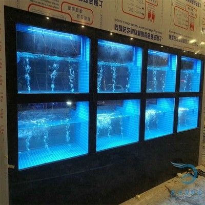大型魚塘過濾系統（大型魚塘過濾系統價格是多少）