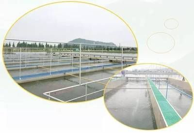 祥龍魚場有哪些特色龍魚做法?,祥龍魚場特色龍魚做法 龍魚百科 第2張 祥龍魚場有哪些特色龍魚做法?,祥龍魚場特色龍魚做法 祥龍魚場有哪些特色龍魚做法?,祥龍魚場特色龍魚做法 龍魚百科 第2張