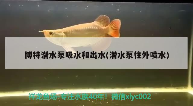 博特潛水泵吸水和出水(潛水泵往外噴水)