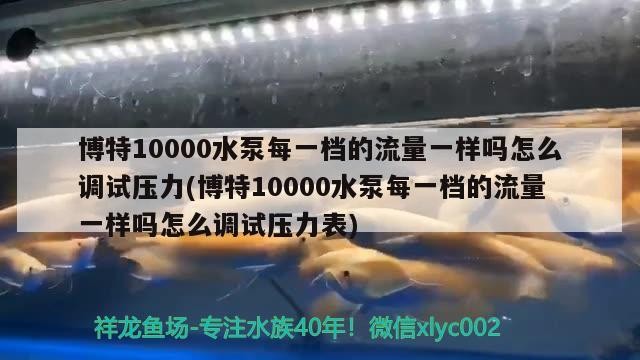 博特10000水泵每一檔的流量一樣嗎怎么調(diào)試壓力(博特10000水泵每一檔的流量一樣嗎怎么調(diào)試壓力表)