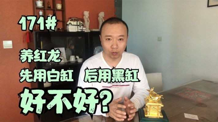 紅龍魚白缸養還是黑缸養好：如何選擇適合紅龍魚的魚缸 紅龍魚白缸養還是黑缸養好：如何選擇適合紅龍魚的魚缸 紅龍魚百科 第4張