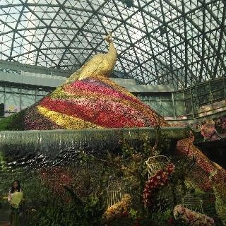 百色水族館vs祥龍魚場（百色水族館和祥龍魚場哪個好）