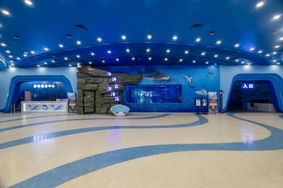 許昌水族館vs祥龍魚場（許昌水族館與祥龍魚場各有側重）