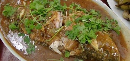 龍魚可以吃羊肉嗎