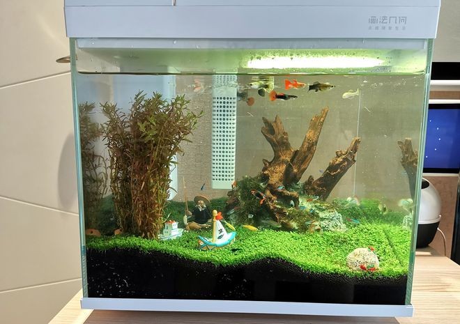 8mm的玻璃能做多大的魚缸用：如何自制魚缸自制魚缸玻璃的選擇和注意事項
