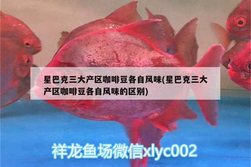 星巴克三大產(chǎn)區(qū)咖啡豆各自風(fēng)味(星巴克三大產(chǎn)區(qū)咖啡豆各自風(fēng)味的區(qū)別)