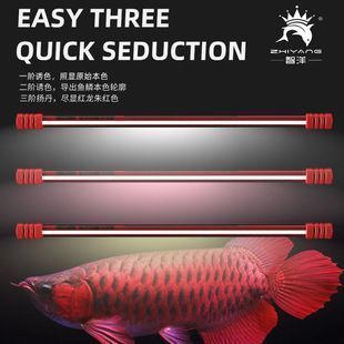 紅龍魚用2700k的燈有什么好處：使用2700k燈對(duì)紅龍魚的好處