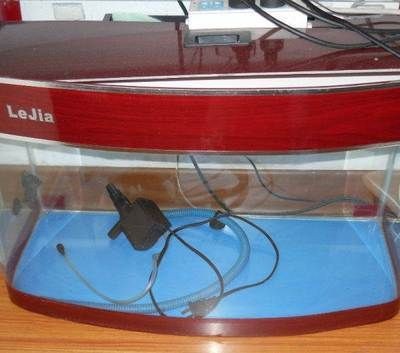 朔州龍魚水族店，朔州地攤魚訂餐電話對應的相關信息 朔州龍魚水族店，朔州地攤魚訂餐電話對應的相關信息 觀賞魚百科 第2張