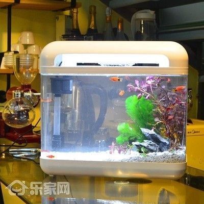 LeJia魚缸：\"lejia魚缸維護方法
