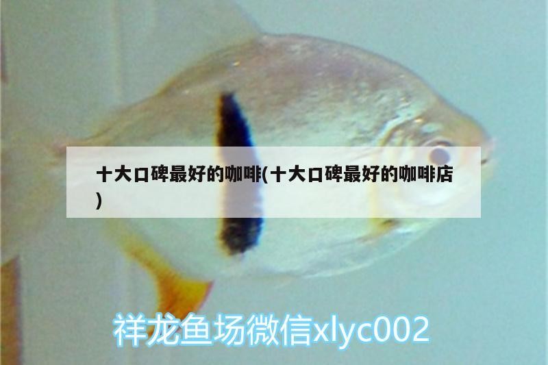 十大口碑最好的咖啡(十大口碑最好的咖啡店) 十大口碑最好的咖啡(十大口碑最好的咖啡店) 馬來(lái)西亞咖啡