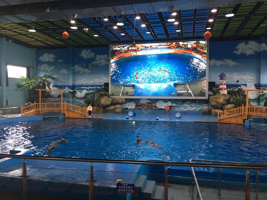 楊凌水族館vs祥龍魚場（探討楊凌水族館與祥龍魚場之間的差異之前需要明確兩者的基本信息）