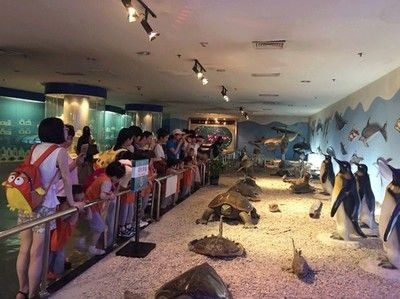 楊凌水族館vs祥龍魚場（探討楊凌水族館與祥龍魚場之間的差異之前需要明確兩者的基本信息）