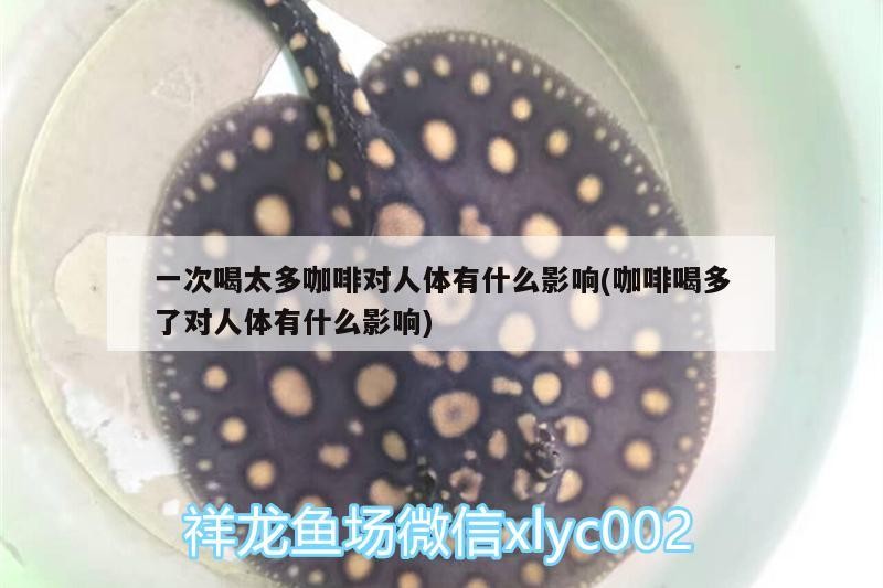 一次喝太多咖啡對人體有什么影響(咖啡喝多了對人體有什么影響)