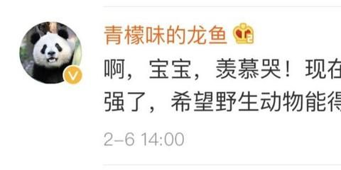 雅安龍魚vs祥龍魚場（雅安龍魚與祥龍魚場之間的區別） 雅安龍魚vs祥龍魚場（雅安龍魚與祥龍魚場之間的區別） 全國水族館企業名錄 第2張