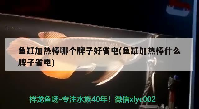 創寧水泵有噪音怎么回事（創寧水泵有噪音怎么回事啊）