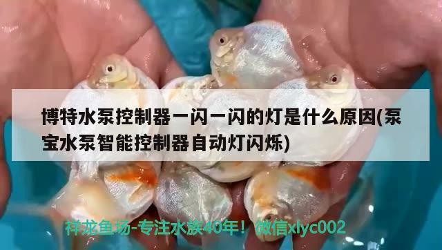 博特水泵控制器一閃一閃的燈是什么原因(泵寶水泵智能控制器自動燈閃爍)