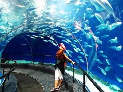 新鄉(xiāng)水族館vs祥龍魚場（探討新鄉(xiāng)水族館與祥龍魚場之間的差異之前需要明確兩者的基本信息）