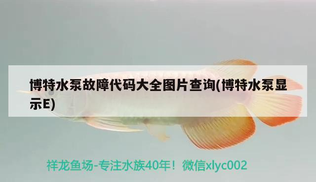 博特水泵故障代碼大全圖片查詢(博特水泵顯示E)