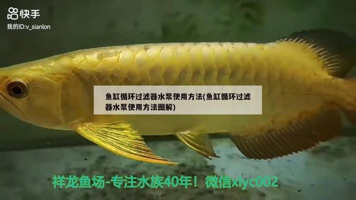 江蘇博特新材料（江蘇博特新材料有限公司）