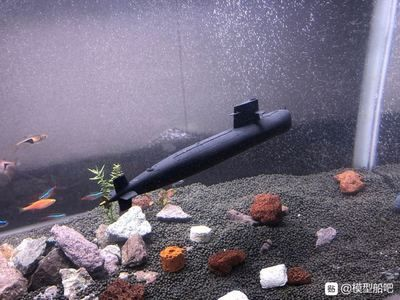 350魚缸造景：廣州問初水草魚缸造景廠