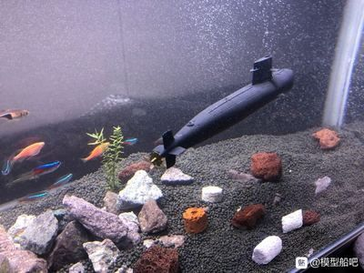 350魚缸造景：廣州問初水草魚缸造景廠