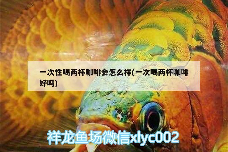 一次性喝兩杯咖啡會怎么樣(一次喝兩杯咖啡好嗎)