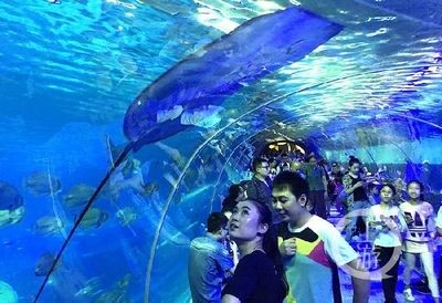 魟魚的嘴巴在哪個位置
