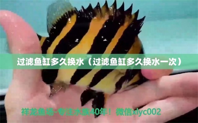 創寧水泵怎么樣質量好嗎多少錢（創寧水泵怎么樣質量好嗎多少錢一臺）
