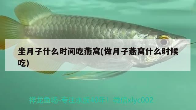 <strong><mark>宿州</mark></strong>市埇橋區(qū)深藍(lán)水族魚(yú)缸店