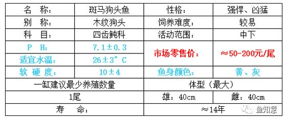 1米長魚缸多高多寬合適：1米長的魚缸在尺寸上有一定的標(biāo)準(zhǔn)和建議和建議