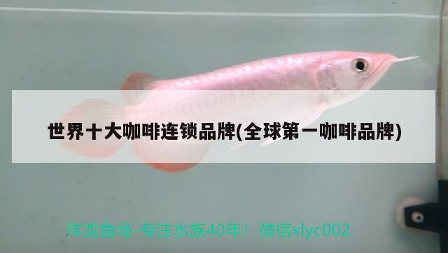世界十大咖啡連鎖品牌(全球第一咖啡品牌)