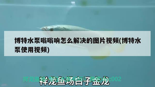 博特水泵嗡嗡響怎么解決的圖片視頻(博特水泵使用視頻)