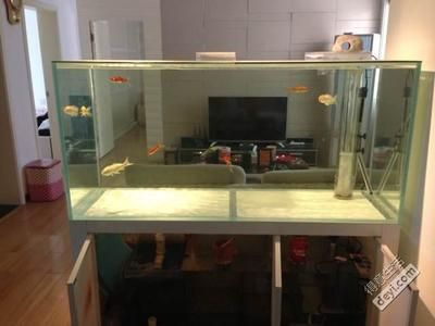 超白玻璃做魚缸好嗎視頻：玻度伯皇璃家族王子——超白玻璃魚缸