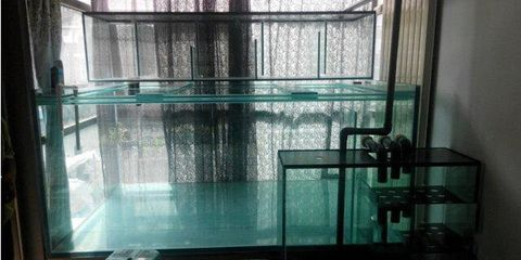 魟魚繁殖缸底柜：如何選擇繁殖缸和底柜