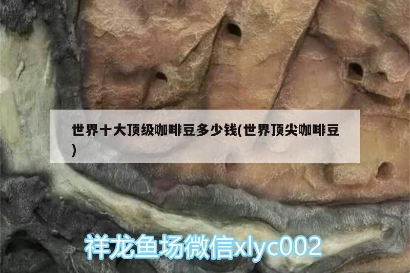 魚缸過濾器選購指南:自制魚缸過濾器魚缸上置過濾器對于養(yǎng)魚愛好者的必備知識 世界十大頂級咖啡豆多少錢(世界頂尖咖啡豆) 馬來西亞咖啡 世界十大頂級咖啡豆多少錢(世界頂尖咖啡豆) 世界十大頂級咖啡豆多少錢(世界頂尖咖啡豆) 馬來西亞咖啡