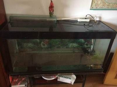 0.4米魚缸指的是長么 0.4米魚缸指的是長么 魚缸百科 第1張