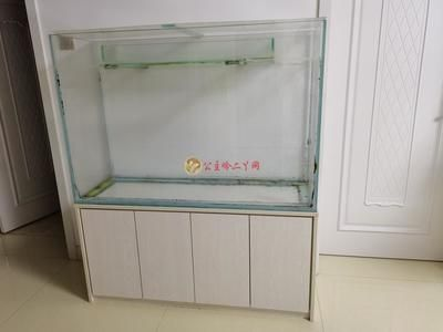 0.4米魚缸指的是長么 0.4米魚缸指的是長么 魚缸百科 第2張
