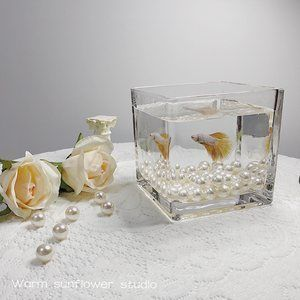 斗魚缸裝飾：關于斗魚缸裝飾的一些詳細信息
